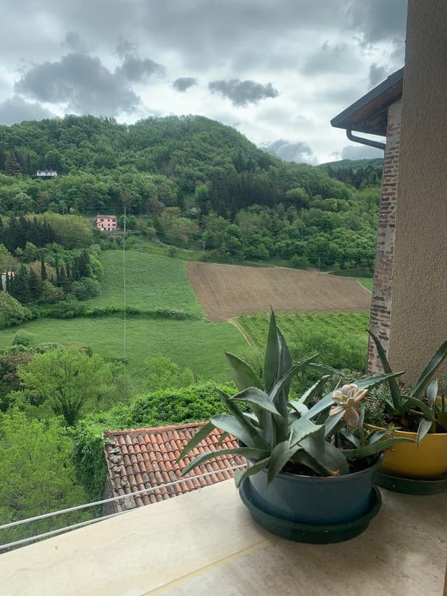 Dettaglio camera