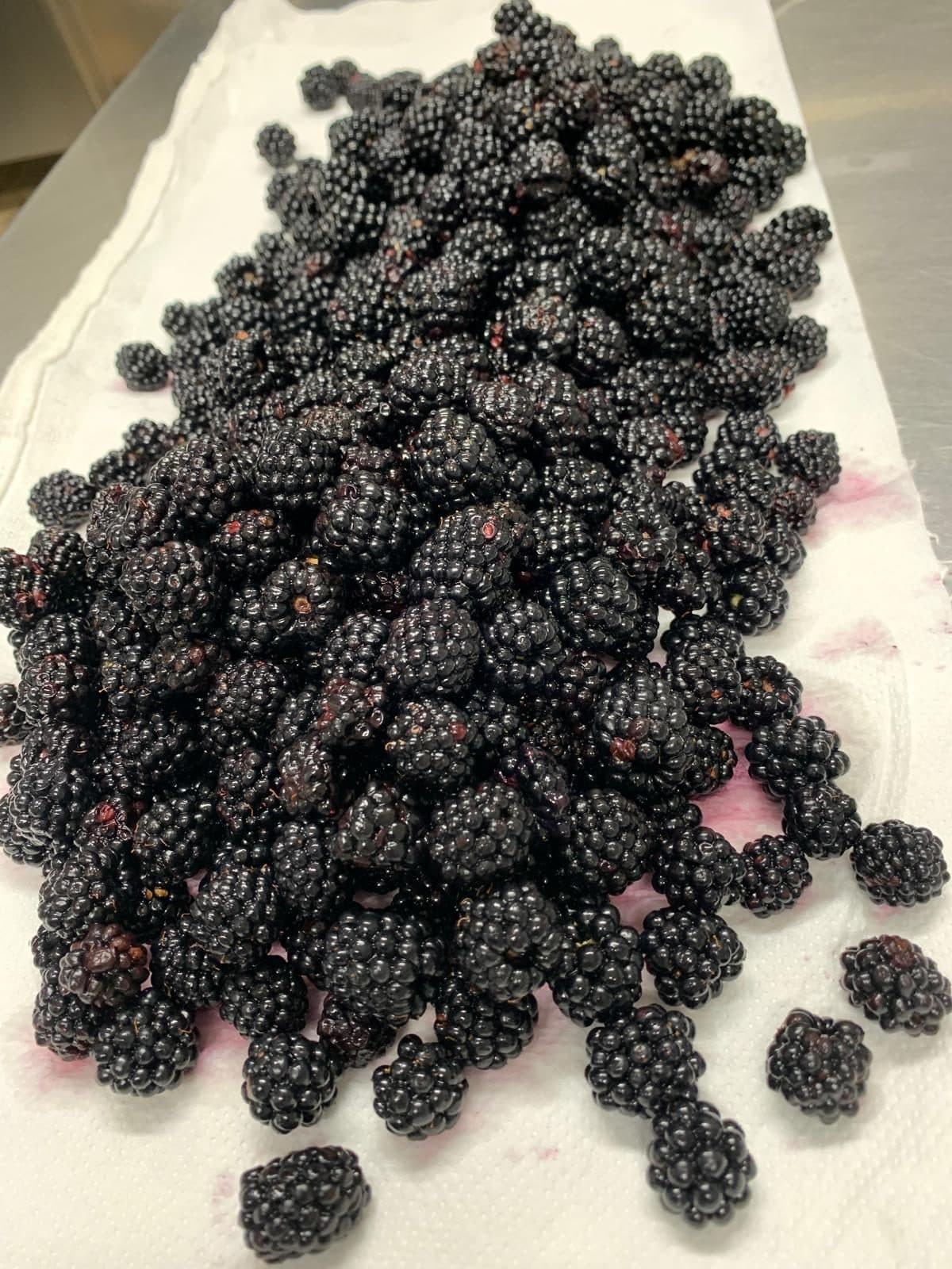 Crostata di marroni — galleria 1