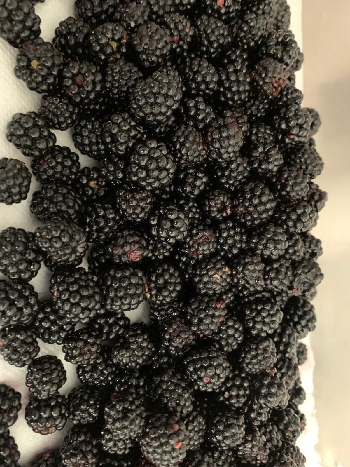 Crostata di marroni — 2